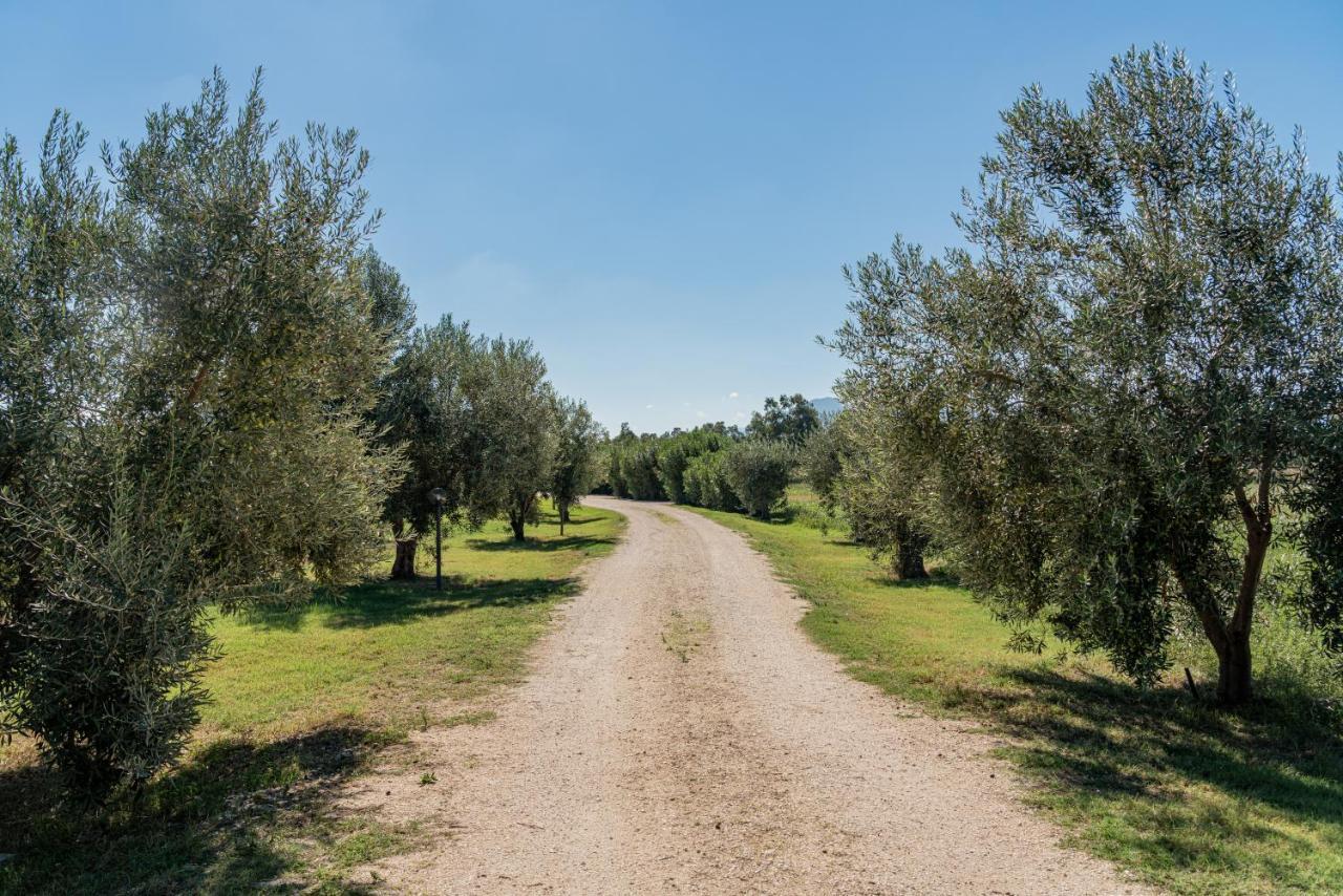 Su Cannonariu Orosei Bagian luar foto