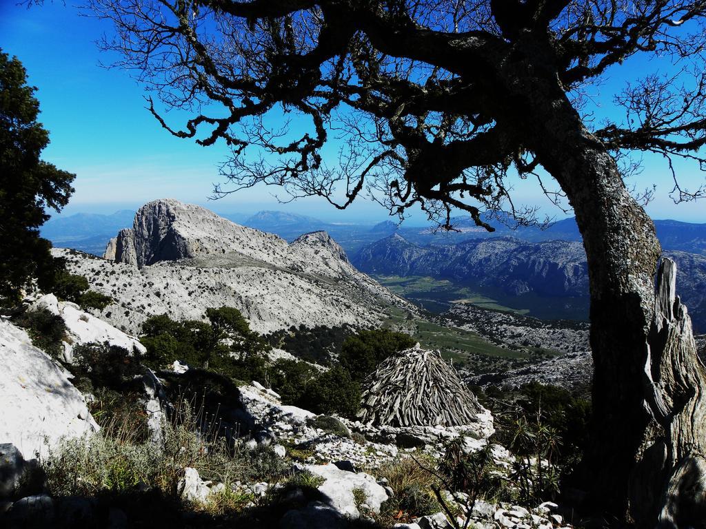 Su Cannonariu Orosei Bagian luar foto