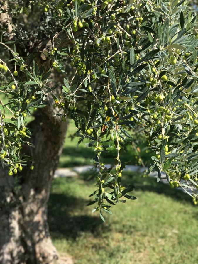 Su Cannonariu Orosei Bagian luar foto